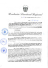 Vista preliminar de documento Resolución Directoral N° 00247-2021