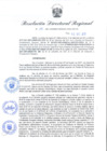 Vista preliminar de documento Resolución Directoral N° 00388-2021