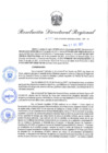 Vista preliminar de documento Resolución Directoral N° 00393-2021