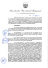 Vista preliminar de documento Resolución Directoral N° 00166-2022