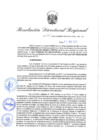 Vista preliminar de documento Resolución Directoral N° 00196-2022