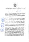 Vista preliminar de documento Resolución Directoral N° 00201-2022