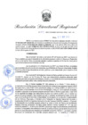Vista preliminar de documento Resolución Directoral N° 00209-2022