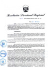 Vista preliminar de documento Resolución Directoral N° 00294-2022
