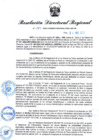 Vista preliminar de documento Resolución Directoral N° 00295-2022