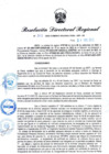 Vista preliminar de documento Resolución Directoral N° 00305-2022