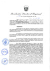 Vista preliminar de documento Resolución Directoral N° 00310-2022