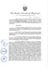 Vista preliminar de documento Resolución Directoral N° 00312-2022