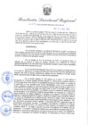 Vista preliminar de documento Resolución Directoral N° 00311-2022