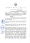 Vista preliminar de documento Resolución Directoral N° 00420-2022