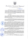 Vista preliminar de documento Resolución Directoral N° 00425-2022
