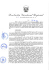Vista preliminar de documento Resolución Directoral N° 00451-2022