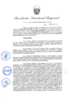 Vista preliminar de documento Resolución Directoral N° 00455-2022