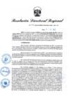 Vista preliminar de documento Resolución Directoral N° 00541-2022