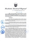 Vista preliminar de documento Resolución Directoral N° 00542-2022
