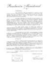 Vista preliminar de documento Directiva_N_1