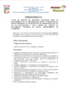 Vista preliminar de documento PERFIL PROFESIONAL N° 02