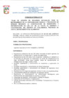 Vista preliminar de documento PERFIL PROFESIONAL N 01