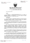 Vista preliminar de documento 24. RD 024-2022-PASLC_Nulidad de Oficio AS 01-2022.pdf