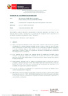 Vista preliminar de documento RD_256_2022_MINEM_DGAAM.pdf