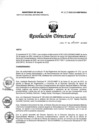 Vista preliminar de documento RD N° 257-2022-DG-INMP/MINSA