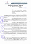 Vista preliminar de documento RDR 253-2022