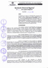 Vista preliminar de documento RDR 254-2022