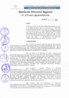 Vista preliminar de documento RDR 255-2022