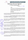 Vista preliminar de documento RDR 256-2022