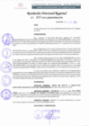 Vista preliminar de documento RDR 257-2022