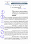 Vista preliminar de documento RDR 260-2022