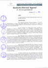 Vista preliminar de documento RDR 262-2022