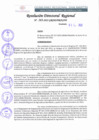 Vista preliminar de documento RDR 263-2022