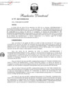 Vista preliminar de documento RD N° 208.pdf