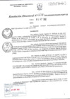 Vista preliminar de documento RD0276-MIDAGRI-DVDAFIR-PEBPT_0001.pdf
