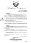 Vista preliminar de documento RDN-136-2021-CENFOTUR-DN