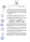 Vista preliminar de documento RES-295-2022-GR