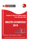 Vista preliminar de documento Boletín Estadístico 2019