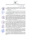 Vista preliminar de documento RES-232-202-GR
