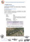 Vista preliminar de documento  RESUMEN EJECUTIVO ARCC PARKINSONIA REV 06-0--2022