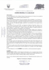 Vista preliminar de documento  ACUERDO REGIONAL   157.PDF