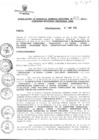 Vista preliminar de documento RESO 323-2013.pdf