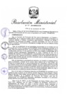 Vista preliminar de documento RM.N° 307