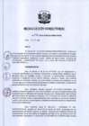 Vista preliminar de documento RD 142-2019