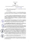 Vista preliminar de documento RER N° 483-2022 