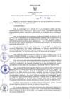 Vista preliminar de documento RER N° 484-2022