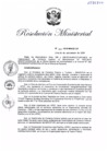 Vista preliminar de documento RM.N° 313