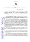 Vista preliminar de documento RES N°258-2022-GRDS