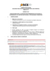 Vista preliminar de documento Anexo N° 01 - Puesto/s Vacante/s