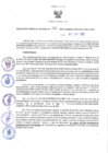 Vista preliminar de documento RES N°261-2022-GRDS
